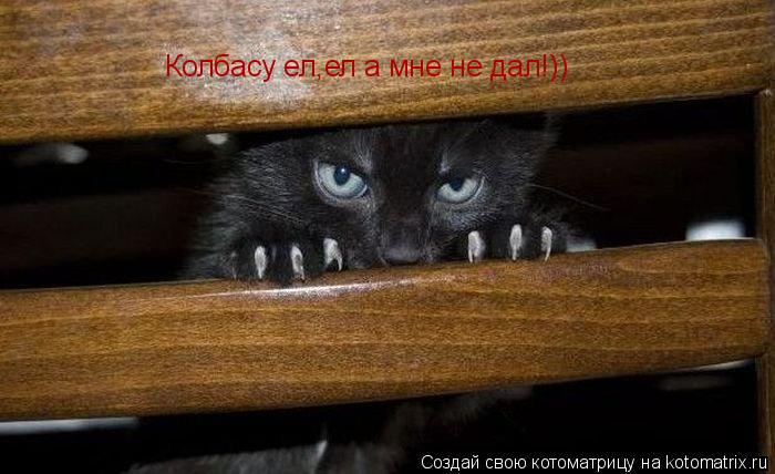 Колбасу ел,ел а мне не дал!))... Котоматрица: Колбасу ел,ел а мне не дал!))
