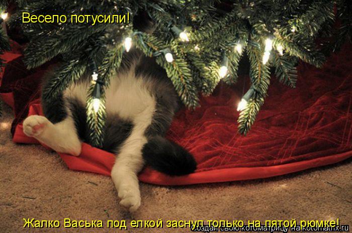 Весело потусили! Жалко Васька под елкой заснул только на пятой рюмке!... Котоматрица: Весело потусили! Жалко Васька под елкой заснул только на пятой рюмке!