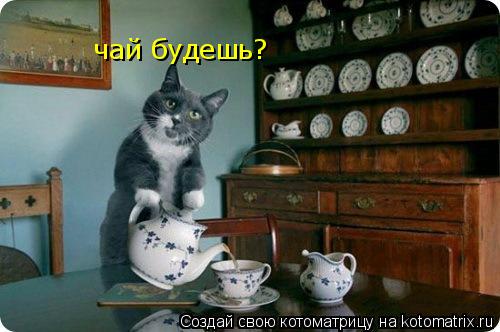 чай будешь?... Котоматрица: чай будешь?
