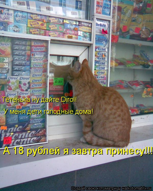 Тётенька ну дайте Dirol! У меня дети голодные дома! А 18 рублей я завтра принесу!!!... Котоматрица: Тётенька ну дайте Dirol! У меня дети голодные дома! А 18 рублей я завтра принесу!!!