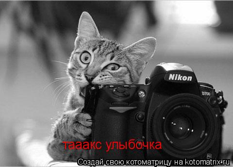 тааакс улыбочка... Котоматрица: тааакс улыбочка