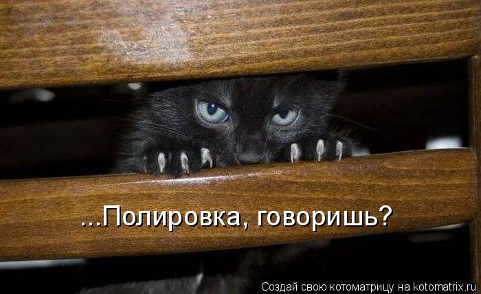 ...Полировка, говоришь?... Котоматрица: ...Полировка, говоришь?