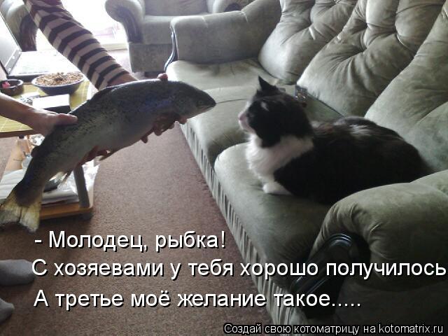 Котоматрица: - Молодец, рыбка! С хозяевами у тебя хорошо получилось! А третье моё желание такое.....