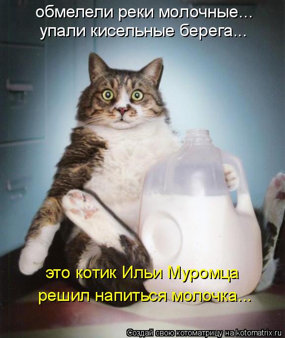 Котоматрица: обмелели реки молочные... упали кисельные берега... это котик Ильи Муромца решил напиться молочка...
