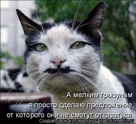...А мелким грызунам я просто сделаю предложение, от которого они не смогут отказаться.... Котоматрица: ...А мелким грызунам я просто сделаю предложение, от которого они не смогут отказаться.