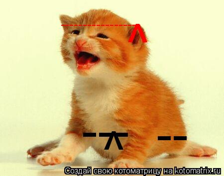 ------------------ ^ --- -- ^... Котоматрица: ------------------ ^ --- -- ^