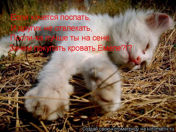 Если хочется поспать, И других не отвлекать, Поспи-ка лучше ты на сене. Зачем покупать кровать Емеле?... Котоматрица: Если хочется поспать, И других не отвлекать, Поспи-ка лучше ты на сене. Зачем покупать кровать Емеле?!?