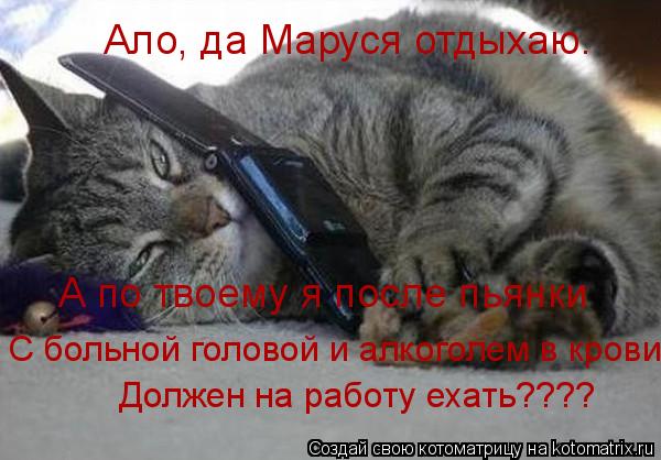 Котоматрица: Ало, да Маруся отдыхаю. А по твоему я после пьянки С больной головой и алкоголем в крови  Должен на работу ехать????