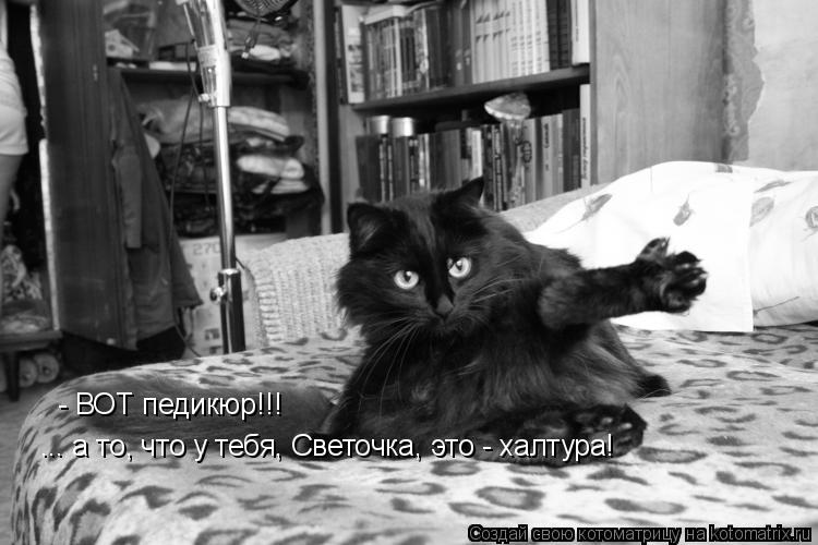 - ВОТ педикюр!!! ... а то, что у тебя, Светочка, это - халтура!... Котоматрица: - ВОТ педикюр!!! ... а то, что у тебя, Светочка, это - халтура!
