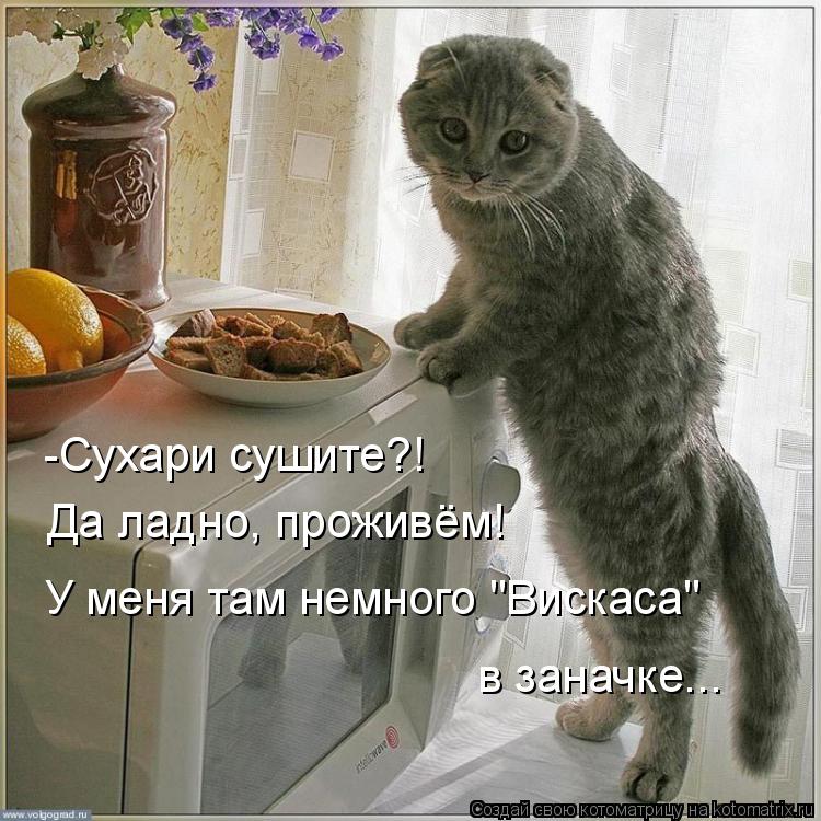 -Сухари сушите?! Да ладно, проживём! У меня там немного "Вискаса" в заначке...... Котоматрица: -Сухари сушите?! Да ладно, проживём! У меня там немного "Вискаса" в заначке...