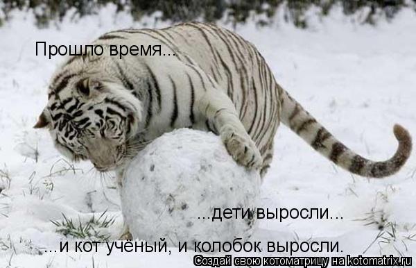 Прошло время... ...дети выросли... ...и кот учёный, и колобок выросли.... Котоматрица: Прошло время... ...дети выросли... ...и кот учёный, и колобок выросли.