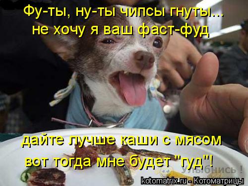 Фу-ты, ну-ты чипсы гнуты... не хочу я ваш фаст-фуд дайте лучше каши с мясом вот тогда мне будет "гуд"... Котоматрица: Фу-ты, ну-ты чипсы гнуты... не хочу я ваш фаст-фуд дайте лучше каши с мясом вот тогда мне будет "гуд"!