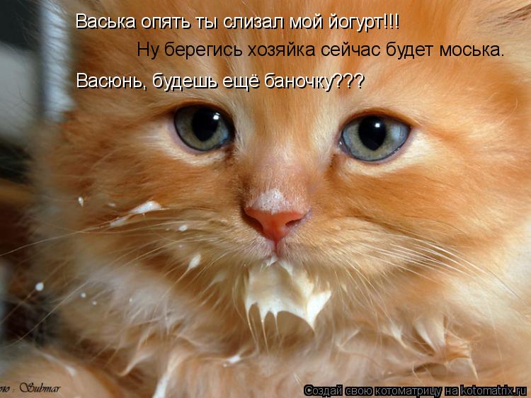 Васька опять ты слизал мой йогурт!!! Ну берегись хозяйка сейчас будет моська. Васюнь, будешь ещё бано... Котоматрица: Васька опять ты слизал мой йогурт!!! Ну берегись хозяйка сейчас будет моська. Васюнь, будешь ещё баночку???