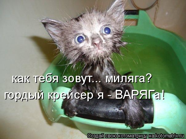 как тебя зовут... миляга? гордый крейсер я - ВАРЯГа!... Котоматрица: как тебя зовут... миляга? гордый крейсер я - ВАРЯГа!