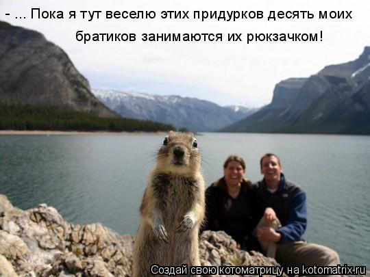 - ... Пока я тут веселю этих придурков десять моих братиков занимаются их рюкзачком!... Котоматрица: - ... Пока я тут веселю этих придурков десять моих братиков занимаются их рюкзачком!