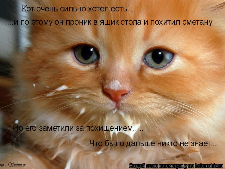 Кот очень сильно хотел есть... ....и по этому он проник в ящик стола и похитил сметану Но его заметил... Котоматрица: Кот очень сильно хотел есть... ....и по этому он проник в ящик стола и похитил сметану Но его заметили за похищением..... Что было дальше никто не