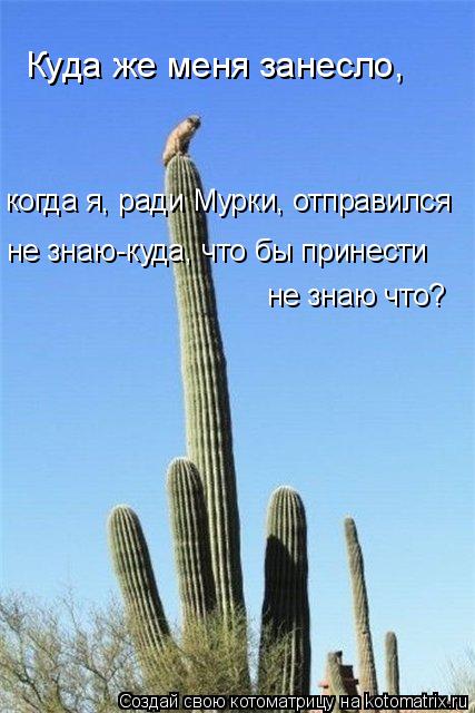 Куда же меня занесло, когда я, ради Мурки, отправился не знаю-куда, что бы принести не знаю что?... Котоматрица: Куда же меня занесло, когда я, ради Мурки, отправился не знаю-куда, что бы принести не знаю что?