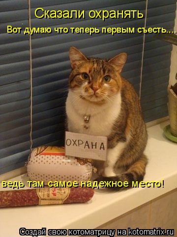 Сказали охранять Вот думаю что теперь первым съесть.... ведь там самое надежное место!... Котоматрица: Сказали охранять Вот думаю что теперь первым съесть.... ведь там самое надежное место!