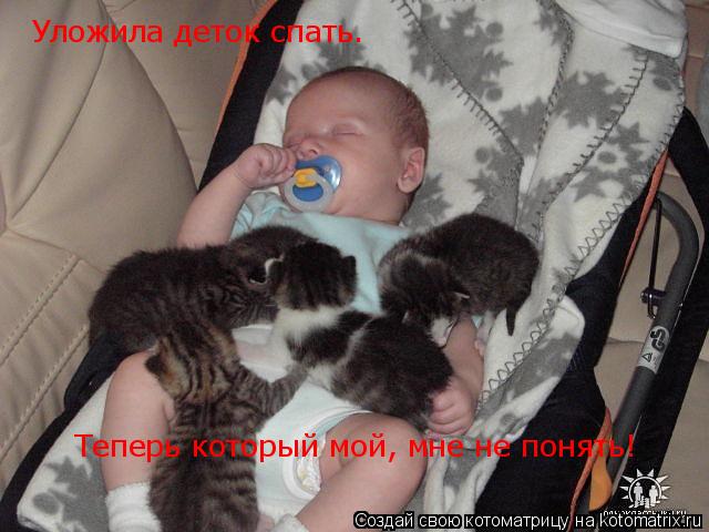Уложила деток спать. Теперь который мой, мне не понять!... Котоматрица: Уложила деток спать. Теперь который мой, мне не понять!