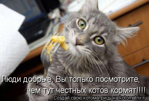 чем тут честных котов кормят!!!! Люди добрые, Вы только посмотрите,... Котоматрица: чем тут честных котов кормят!!!! Люди добрые, Вы только посмотрите,