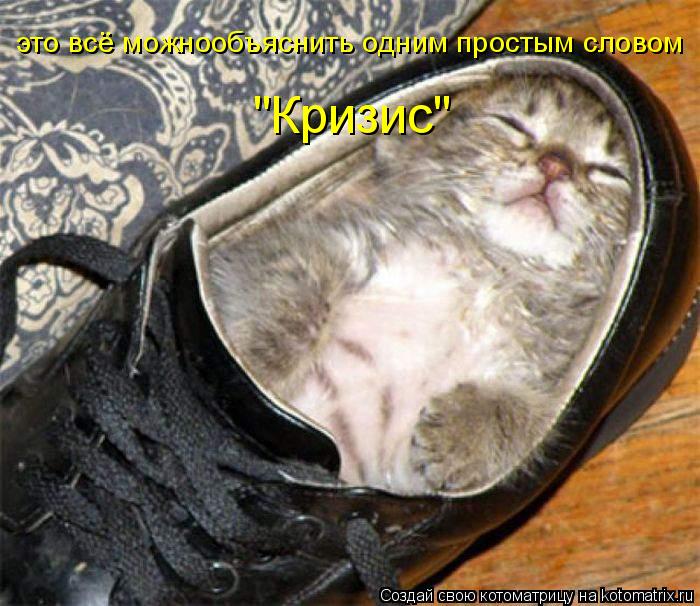 это всё можнообъяснить одним простым словом "Кризис"... Котоматрица: это всё можнообъяснить одним простым словом "Кризис"