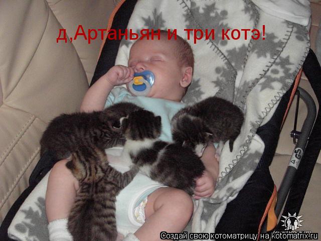 д,Артаньян и три котэ!... Котоматрица: д,Артаньян и три котэ!