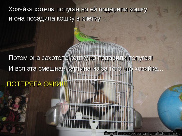 Хозяйка хотела попугая,но ей подарили кошку и она посадила кошку в клетку. Потом она захотела кошку,н... Котоматрица: Хозяйка хотела попугая,но ей подарили кошку и она посадила кошку в клетку. Потом она захотела кошку,но подарили попугая! И вся эта смешная к
