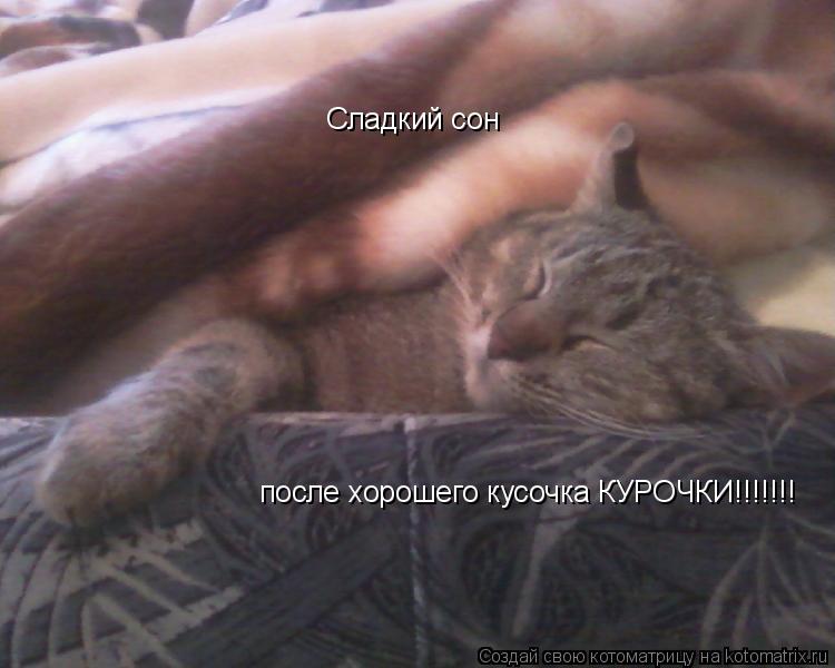 Сладкий сон после хорошего кусочка КУРОЧКИ!!!!!!!... Котоматрица: Сладкий сон после хорошего кусочка КУРОЧКИ!!!!!!!