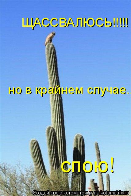 ЩАССВАЛЮСЬ!!!!! но в крайнем случае... но в крайнем случае... спою!... Котоматрица: ЩАССВАЛЮСЬ!!!!! но в крайнем случае... но в крайнем случае... спою!