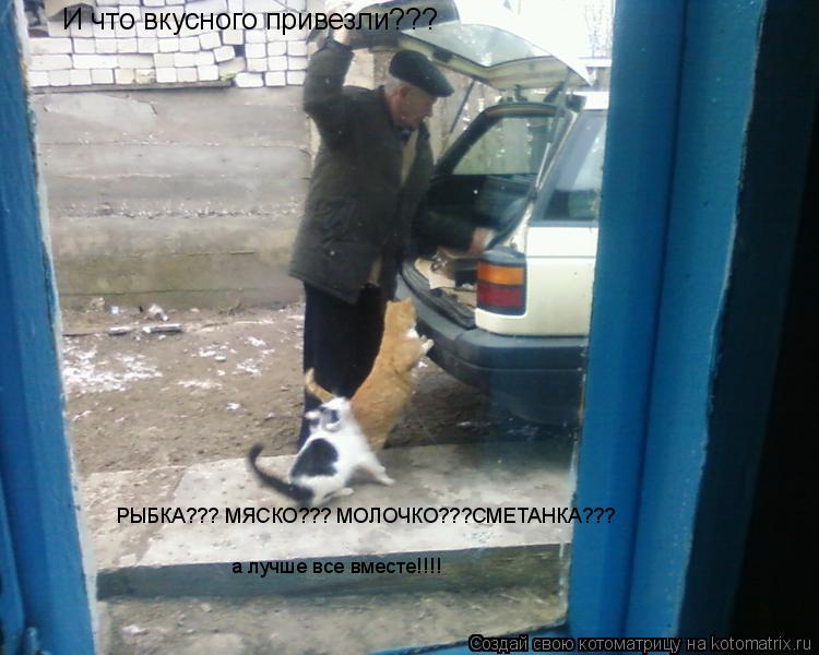 И что вкусного привезли??? РЫБКА??? МЯСКО??? МОЛОЧКО???СМЕТАНКА??? а лучше все вместе!!!!... Котоматрица: И что вкусного привезли??? РЫБКА??? МЯСКО??? МОЛОЧКО???СМЕТАНКА??? а лучше все вместе!!!!