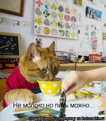 Не молоко но пить можно...... Котоматрица: Не молоко но пить можно...