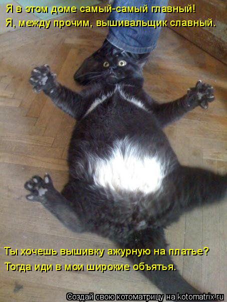Я в этом доме самый-самый главный! Я, между прочим, вышивальщик славный. Ты хочешь вышивку ажурную на... Котоматрица: Я в этом доме самый-самый главный! Я, между прочим, вышивальщик славный. Ты хочешь вышивку ажурную на платье? Тогда иди в мои широкие объятья.