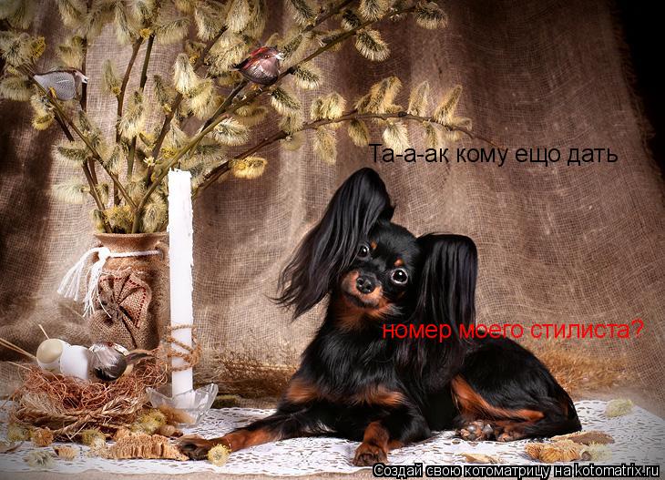 Та-а-ак кому ещо дать номер моего стилиста?... Котоматрица: Та-а-ак кому ещо дать номер моего стилиста?