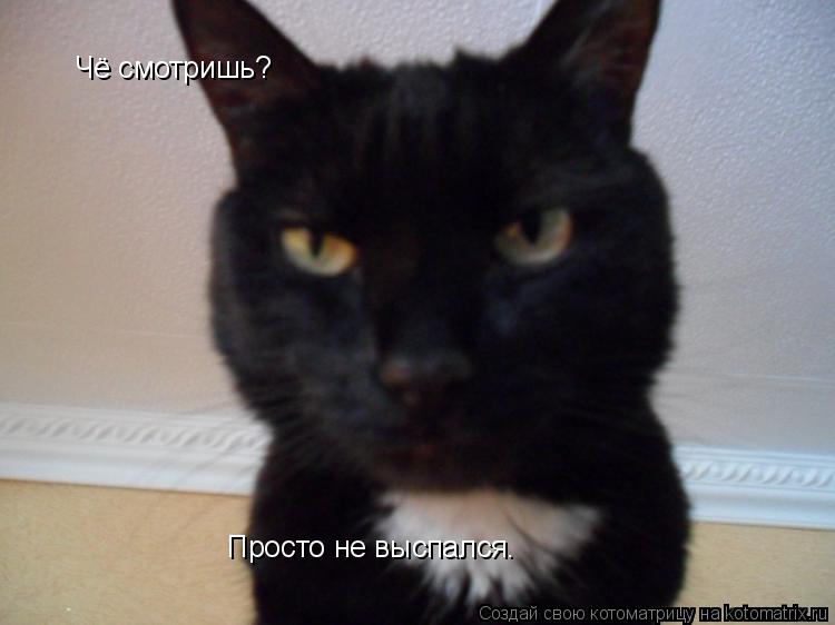 Чё смотришь? Просто не выспался.... Котоматрица: Чё смотришь? Просто не выспался.