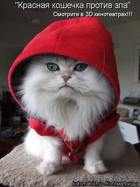 "Красная кошечка против зла" Смотрите в 3D кинотеатрах!!!... Котоматрица: "Красная кошечка против зла" Смотрите в 3D кинотеатрах!!!