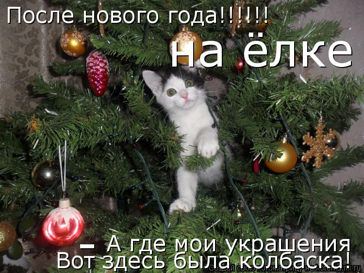 А где мои украшения Вот здесь была колбаска! После нового года!!!!!! на ёлке -... Котоматрица: А где мои украшения Вот здесь была колбаска! После нового года!!!!!! на ёлке -