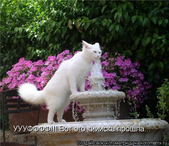 УУУФФФФ!!! Вот это киииска прошла...... Котоматрица: УУУФФФФ!!! Вот это киииска прошла...