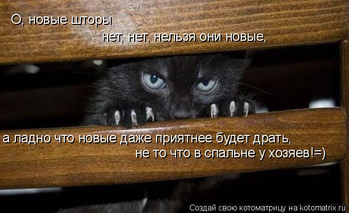 О, новые шторы нет, нет, нельзя они новые , а ладно что новые даже приятнее будет драть, не то что в ... Котоматрица: О, новые шторы нет, нет, нельзя они новые , а ладно что новые даже приятнее будет драть, не то что в спальне у хозяев!=)