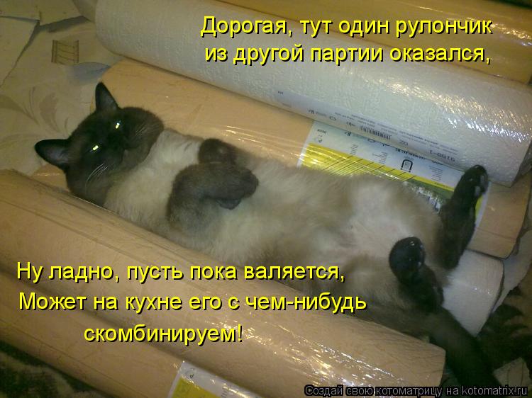 Дорогая, тут один рулончик из другой партии оказался, Ну ладно, пусть пока валяется, Может на кухне е... Котоматрица: Дорогая, тут один рулончик из другой партии оказался, Ну ладно, пусть пока валяется, Может на кухне его с чем-нибудь скомбинируем!