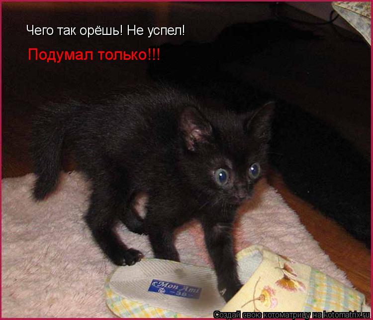 Чего так орёшь! Не успел! Подумал только!!!... Котоматрица: Чего так орёшь! Не успел! Подумал только!!!