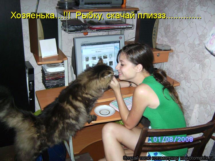 Хозяенька...!!! Рыбку, скачай плиззз................. Котоматрица: Хозяенька...!!! Рыбку, скачай плиззз..............