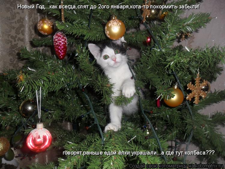 Котоматрица: Новый Год...как всегда,спят до 2ого января,кота-то покормить забыли! говорят,раньше едой ёлки украшали...а где тут колбаса???