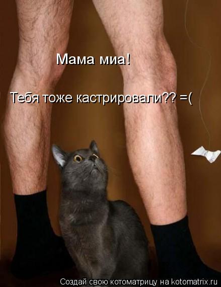 Котоматрица: Мама миа!  Тебя тоже кастрировали?? =(