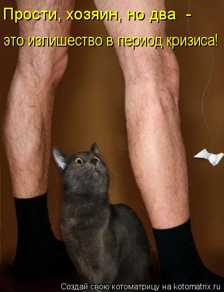 Котоматрица: Прости, хозяин, но два  -  это излишество в период кризиса!