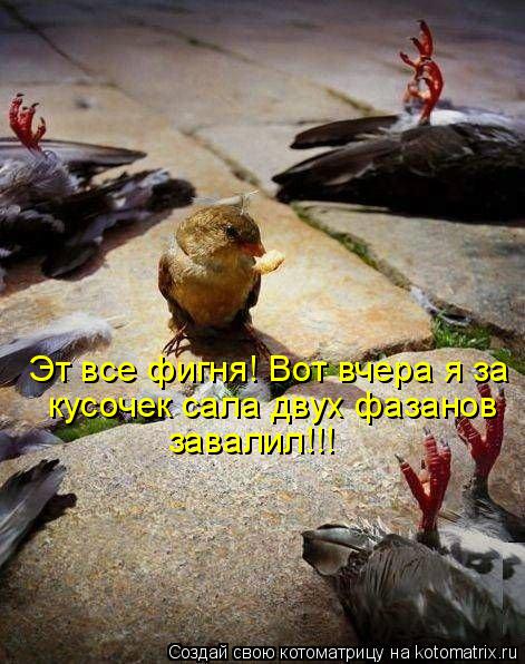 Котоматрица: кусочек сала двух фазанов Эт все фигня! Вот вчера я за  завалил!!!
