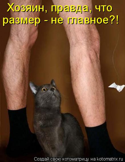 Котоматрица: Хозяин, правда, что  размер - не главное?!