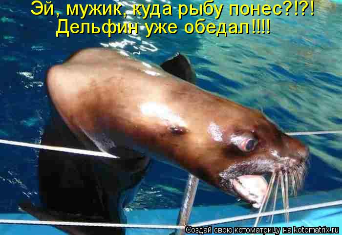 Эй, мужик, куда рыбу понес?!?! Дельфин уже обедал!!!!... Котоматрица: Эй, мужик, куда рыбу понес?!?! Дельфин уже обедал!!!!
