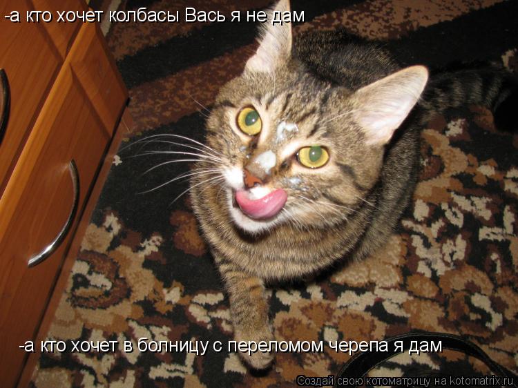 -а кто хочет колбасы Вась я не дам -а кто хочет в болницу с переломом черепа я дам... Котоматрица: -а кто хочет колбасы Вась я не дам -а кто хочет в болницу с переломом черепа я дам