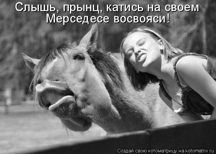 Слышь, прынц, катись на своем Мерседесе восвояси!... Котоматрица: Слышь, прынц, катись на своем Мерседесе восвояси!