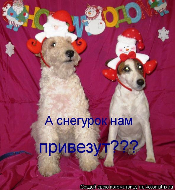 А снегурок нам привезут???... Котоматрица: А снегурок нам привезут???